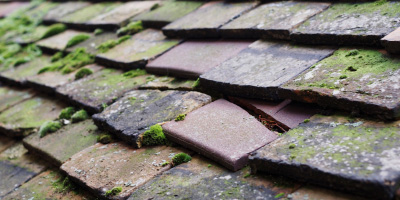 Gillmoss roof repair costs